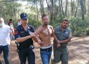 Ormanda suçüstü yakalandı!