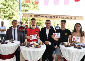 Bursa Mustafakemalpaşa Kara incir’in yeni merkezi olacak