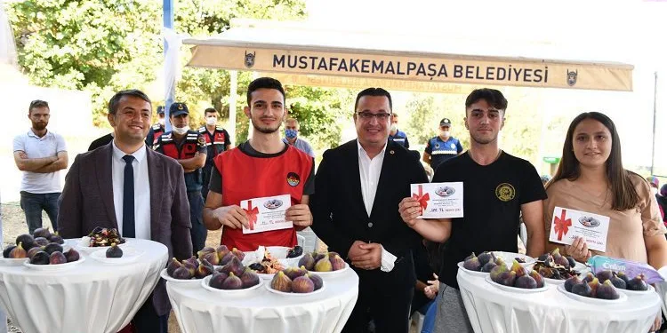 Bursa Mustafakemalpaşa Kara incir’in yeni merkezi olacak
