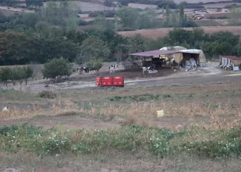8 köyde ‘mavi dil’ karantinası