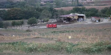 8 köyde ‘mavi dil’ karantinası