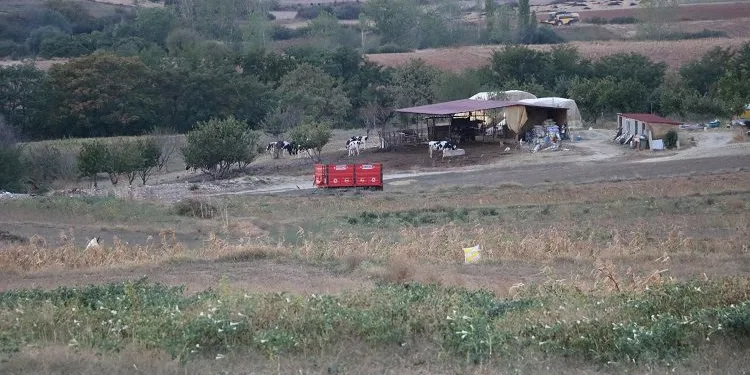 8 köyde ‘mavi dil’ karantinası