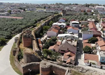 Görenler şaşkın! Bursa’da surların arasından çıktı