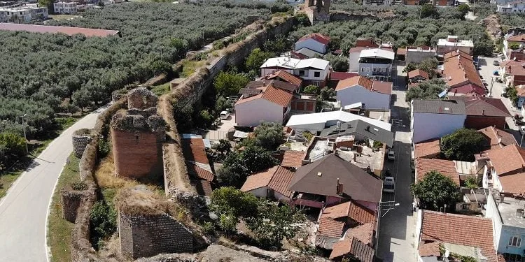 Görenler şaşkın! Bursa’da surların arasından çıktı