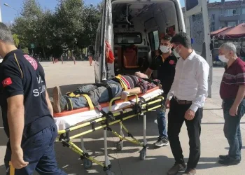 Bursa’da ağaçtan düşen adam ağır yaralandı