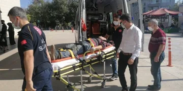 Bursa’da ağaçtan düşen adam ağır yaralandı