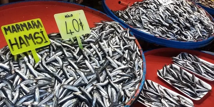 Hamsinin fiyatı 40 liraya dayandı