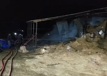 Bursa’da korkutan samanlık yangını