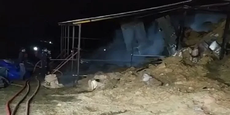 Bursa’da korkutan samanlık yangını