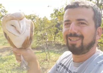 Bursa’da evin içine giren baykuşu kurtardı