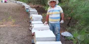 Bursa’da bu orman arıcıların akınına uğruyor