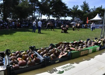 Osmangazi’den ‘Siyah İncir’e yakışan festival