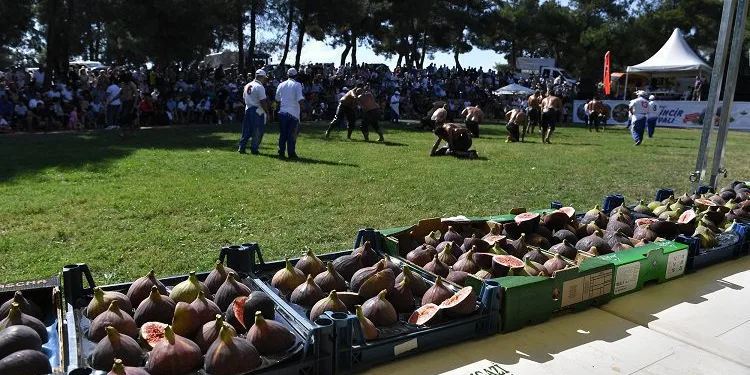 Osmangazi’den ‘Siyah İncir’e yakışan festival