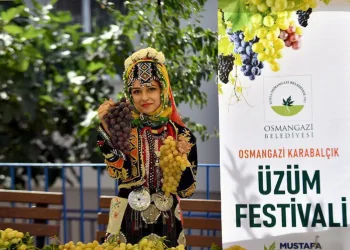Osmangazi’de en güzel üzümler yarıştı