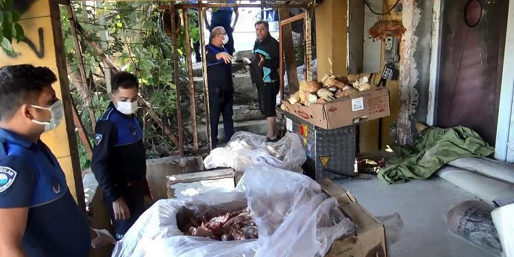 Avcılar’daki halı yıkama yerinde sağlıksız koşulda bekletilen etlere el konuldu
