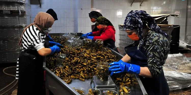 Bursa’da turşu göçüyle nüfusu ikiye katlanıyor