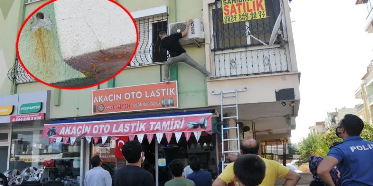 Duvardan akan sıvı korkunç gerçeği ortaya çıkardı