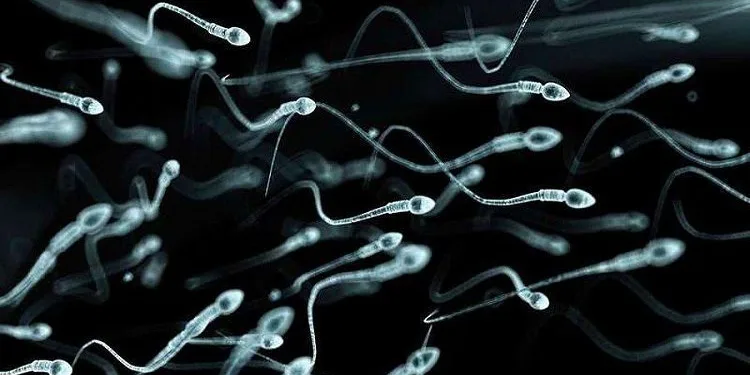 Klinikte sperm hırsızlığı! Herkesin çocuğu olabilir