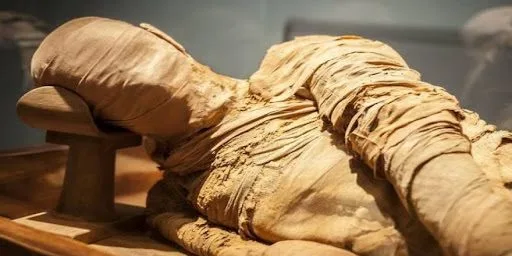 Emekli maaşını alamak için annesini mumyaladı