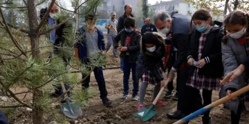 İnegöl’de 63 ağaç toprakla buluştu