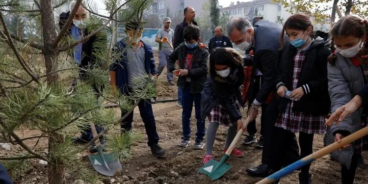 İnegöl’de 63 ağaç toprakla buluştu