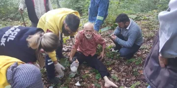 Kestane toplamak için gittiği ormanda kendini vurdu