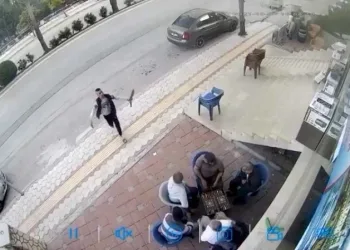 Yardım için sığındı, müdahale edilmeyince saldırıya uğradı