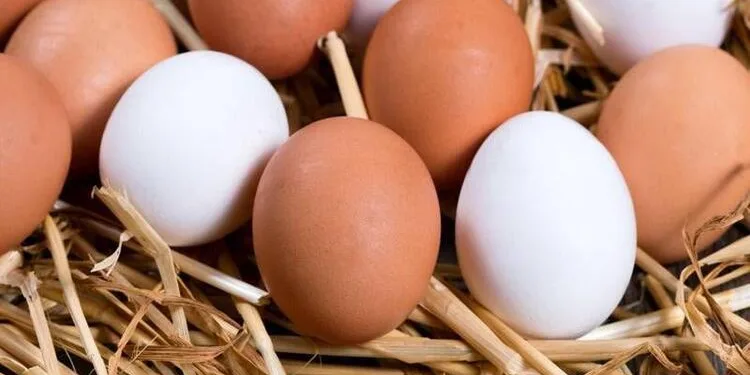 Yumurtanın taze olduğu nasıl anlaşılır?