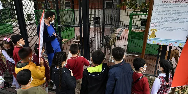 Osmangazi’den Hayvanları Koruma Günü etkinliği
