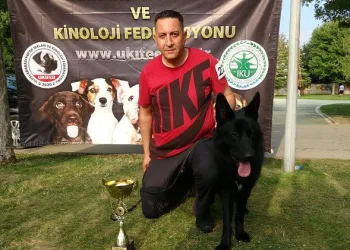 Bursa’nın en güzel köpeği seçildi
