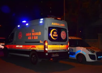 Otomobili çizildi, site görevlisini öldürdü
