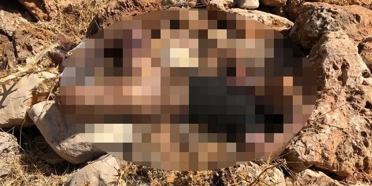 Mardin’de yakılarak öldürülmüş erkek cesedi bulundu