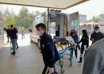 Bursa’da ağaçtan düşen adam ağır yaralandı