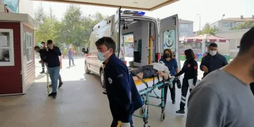 Bursa’da ağaçtan düşen adam ağır yaralandı