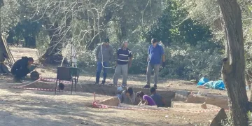 İznik’te SİT alanı ilan edilen zeytinlikte lahit bulundu