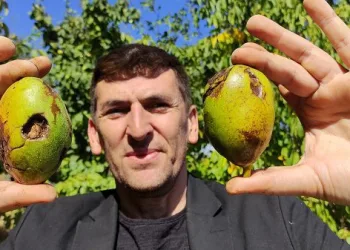 Bursa’da 1 yıl öncesinden sipariş alıyorlar