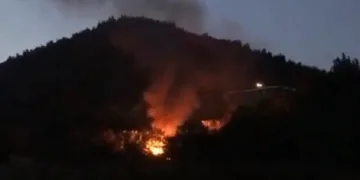 Bursa’da madde bağımlıları ormanı ve barakayı yaktı