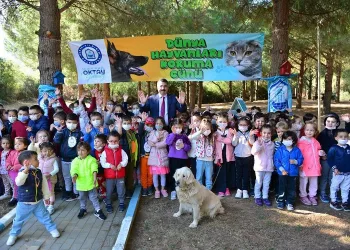 Bursa Yıldırım’da sokak hayvanları emin ellerde
