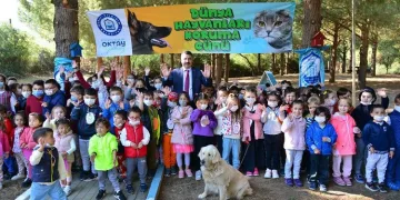 Bursa Yıldırım’da sokak hayvanları emin ellerde