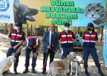Bursa’da jandarma hayvanları koruma gününü unutmadı