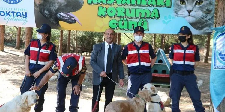 Bursa’da jandarma hayvanları koruma gününü unutmadı