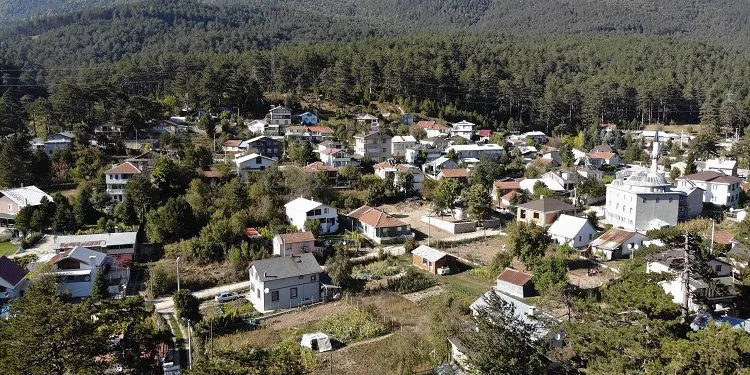 Bu köydeki ev fiyatları lüks semtlerle yarışıyor