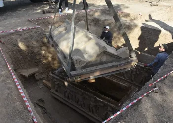 Bursa’da zeytinlikte tarihe ışık tutacak keşif