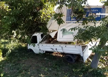 Bursa’da bahçeye uçan sürücü ehliyetsiz çıktı