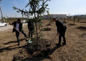 Bursa İnegöl’de 154 fidan toprakla buluştu