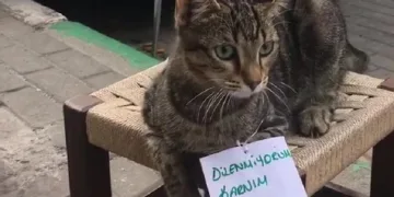 Bursa’da gülümseten görüntü… Görenler bir daha baktı