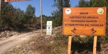 Bursa’da bal ormanları yaygınlaşıyor