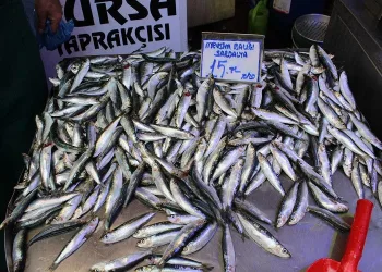 Bursa’da fiyatı 15 liraya kadar düştü