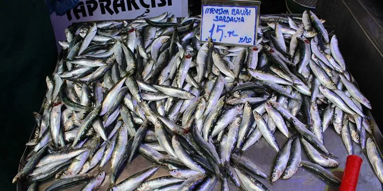 Bursa’da fiyatı 15 liraya kadar düştü