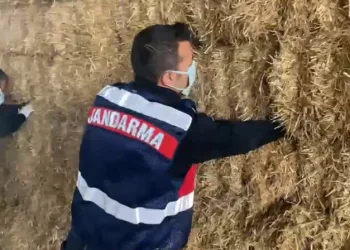 Bursa’da çaldıkları paraları saman balyalarına sakladılar